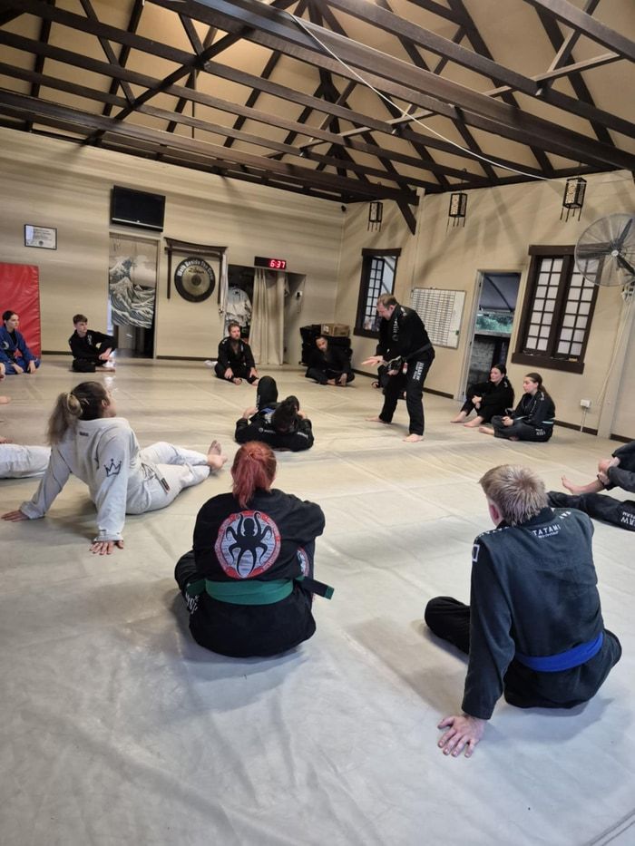 <center>Brazilian Jiu Jitsu gi<center>
